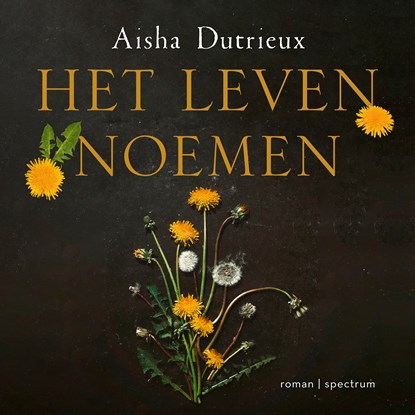 Het leven noemen, Aisha Dutrieux - Luisterboek MP3 - 9789000386123