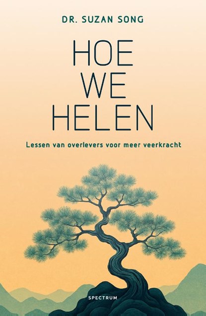 Hoe we helen, Suzan Song - Paperback - 9789000387052