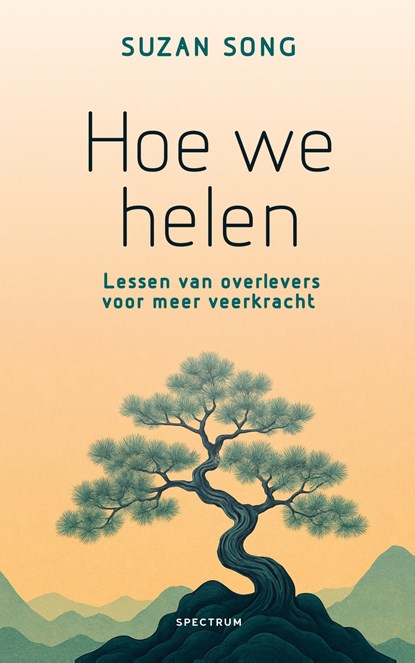 Hoe we helen, Suzan Song - Paperback - 9789000387052