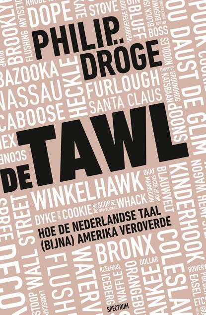 De Tawl, Philip Dröge - Ebook - 9789000390014