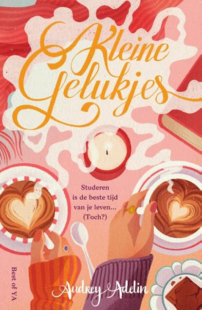 Kleine gelukjes, Audrey Adelin - Paperback - 9789000391431