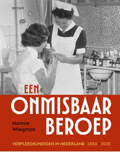 Een onmisbaar beroep, Nannie Wiegman - Ebook - 9789000391585