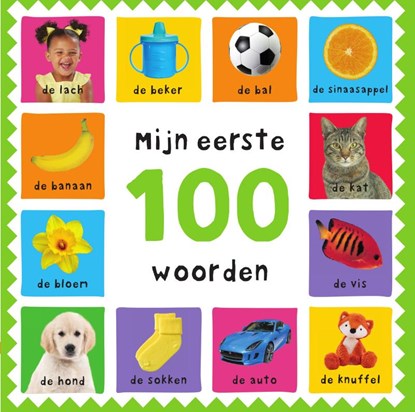 Mijn eerste 100 woorden, Roger Priddy - Overig - 9789000392599