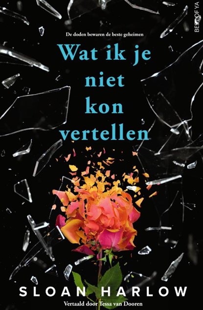 Wat ik je niet kon vertellen, Sloan Harlow - Paperback - 9789000393725