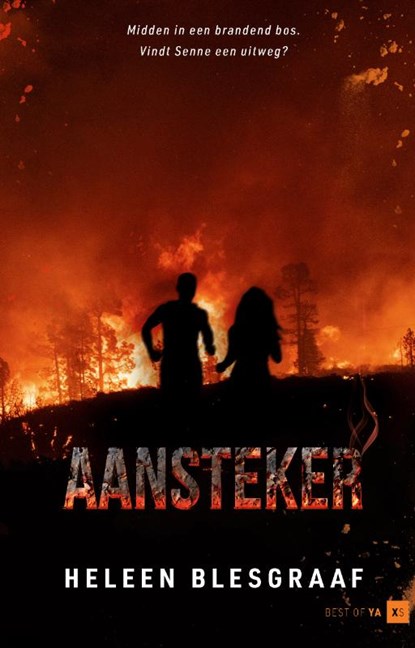 Aansteker, Heleen Blesgraaf - Gebonden - 9789000399093