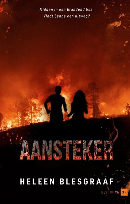 Aansteker, Heleen Blesgraaf - Ebook - 9789000399109
