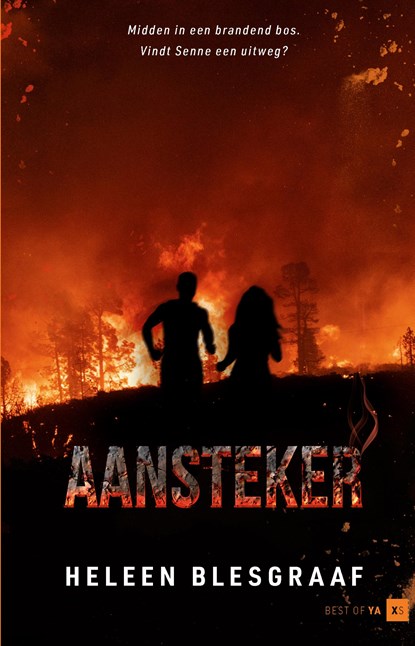 Aansteker, Heleen Blesgraaf - Ebook - 9789000399109