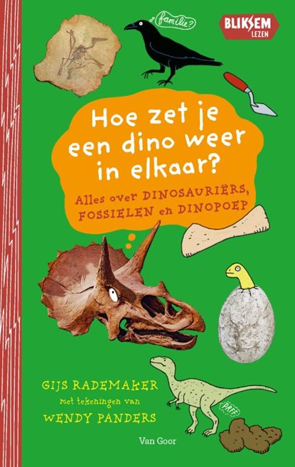 Hoe zet je een dino weer in elkaar?, Gijs Rademaker - Gebonden - 9789000401581