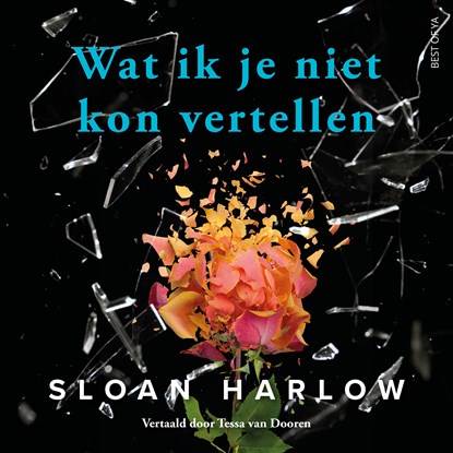 Wat ik je niet kon vertellen, Sloan Harlow - Luisterboek MP3 - 9789000402960