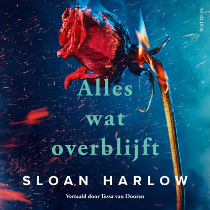 Alles wat overblijft, Sloan Harlow - Luisterboek MP3 - 9789000402977