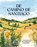 De Camino de Santiago, niet bekend - Gebonden - 9789000403417