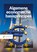 Algemene economische basisprincipes, J. de Jong - Paperback - 9789001023591