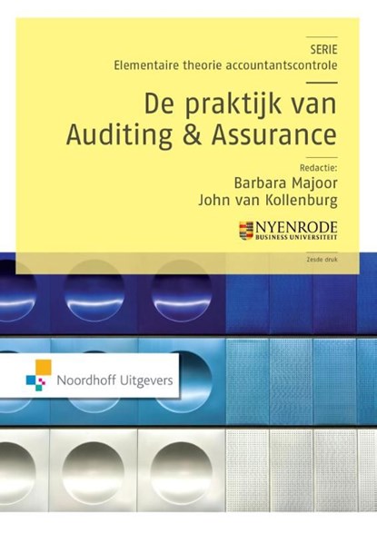 De praktijk van auditing en assurance, Auke van den Berg ; Th.Th. Heideman ; D. Marinus ; W.F. Merkus - Ebook - 9789001840921