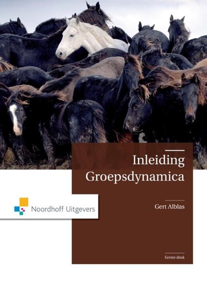 Inleiding groepsdynamica, Gert Alblas - Ebook Adobe PDF - 9789001843038