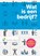 Wat is een bedrijf?, Rienk Stuive - Paperback - 9789001850913