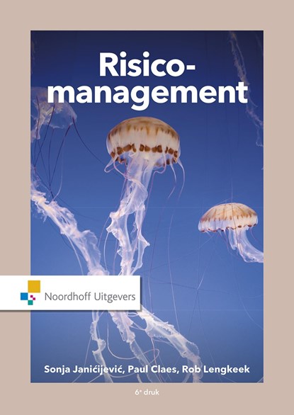 Risicomanagement, Sonja Janicijevic ; Paul Claes ; Rob Lengkeek - Ebook Adobe PDF - 9789001866655