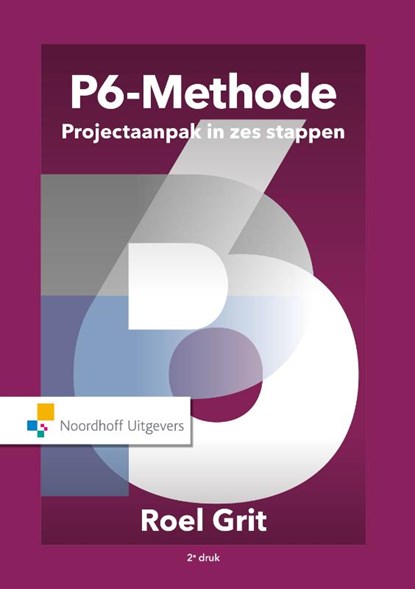 Projectaanpak in zes stappen, Roel Grit - Gebonden - 9789001868871
