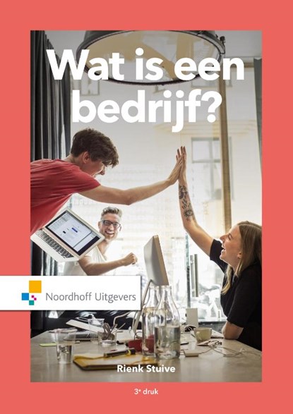 Wat is een bedrijf?, Rienk Stuive - Paperback - 9789001898915