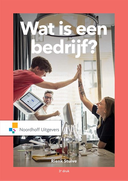 Wat is een bedrijf?, Rienk Stuive - Ebook - 9789001898922