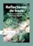 Reflecteren de basis, Mirjam Groen - Paperback - 9789001900021