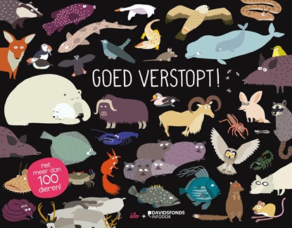Goed verstopt!, Elo - Gebonden - 9789002264337