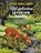 Het geheime leven van dieren, Peter Wohlleben - Gebonden - 9789002269424