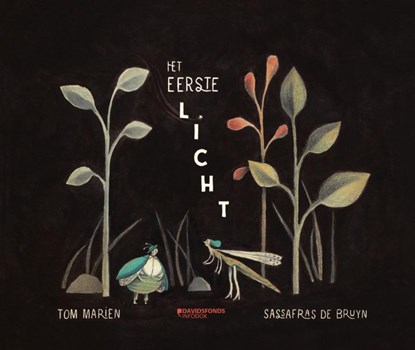 Het eerste licht, Tom Marien - Gebonden - 9789002274695