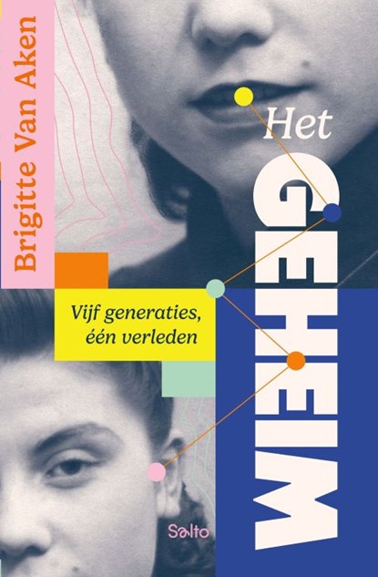 Het geheim. Vijf generaties, één verleden, Brigitte Van Aken - Paperback - 9789002287572
