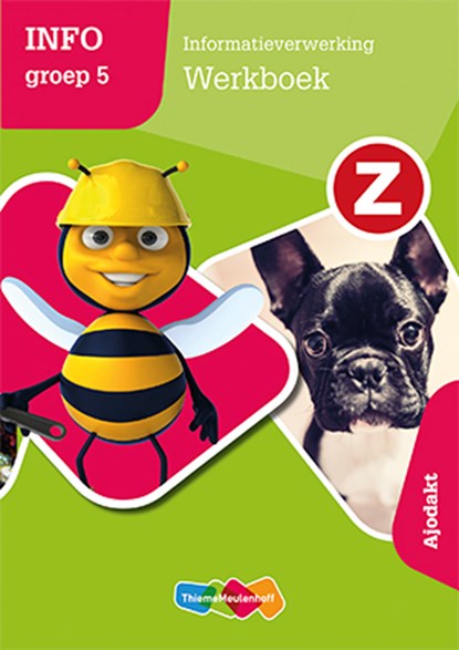 Z-info Groep 5 Werkboek, P. Nagtegaal - Paperback - 9789006491180