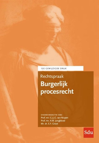 Rechtspraak Burgerlijk procesrecht, C.J.J.C. van Nispen ; A.W. Jongbloed ; E.F. Groot - Paperback - 9789012409605