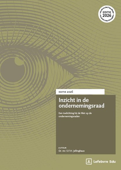 Inzicht in de ondernemingsraad, Steven Jellinghaus - Paperback - 9789012410816