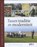 Tussen traditie en moderniteit, Martijn van der Steen; Mark van Twist - Gebonden - 9789012576529
