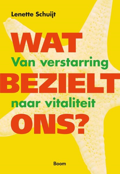 Wat bezielt ons?, Lenette Schuijt - Paperback - 9789013123166