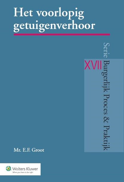 Het voorlopig getuigenverhoor, E.F. Groot - Paperback - 9789013129861