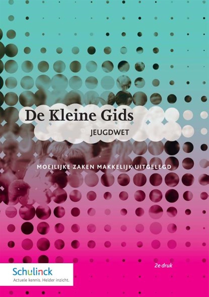 De Kleine Gids Jeugdwet, Marieke Simons - Paperback - 9789013153958