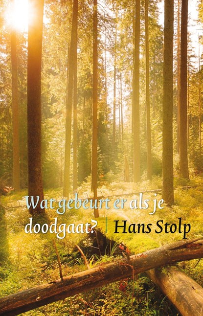 Wat gebeurt er als je dood gaat?, Hans Stolp - Ebook - 9789020208771