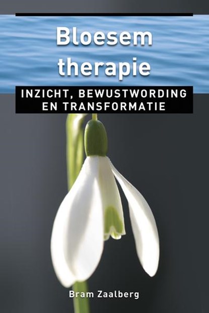 Bloesemtherapie, Bram Zaalberg - Paperback - 9789020208849