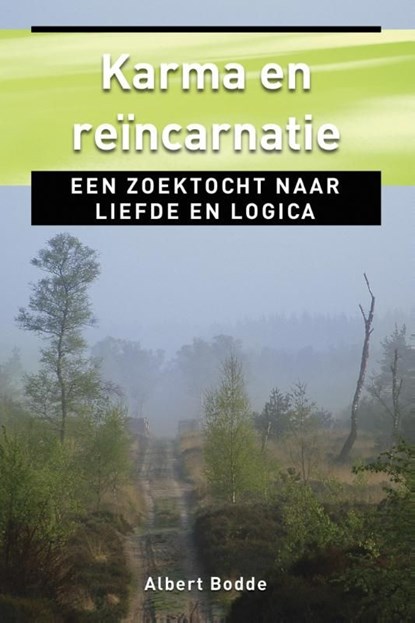 Karma en reincarnatie, Albert Bodde - Ebook - 9789020209389