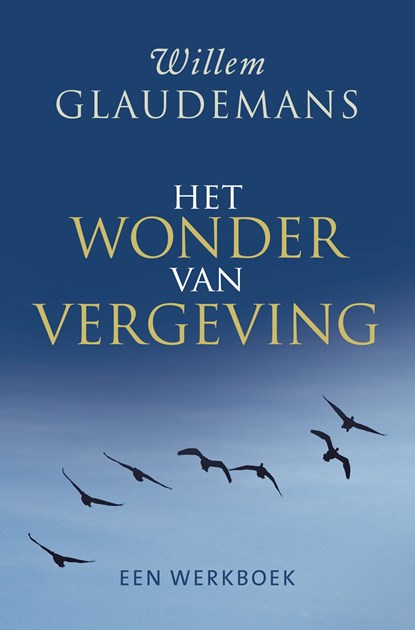 Het wonder van vergeving, Willem Glaudemans - Ebook - 9789020212358