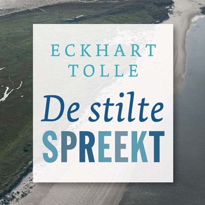 De stilte spreekt, Eckhart Tolle - Luisterboek MP3 - 9789020215335