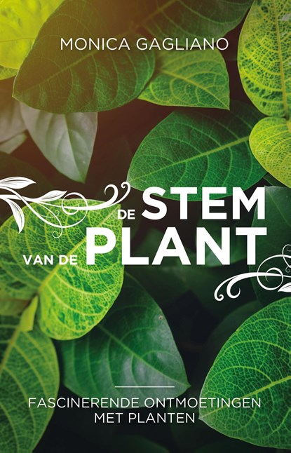 De stem van de plant, Monica Gagliano - Ebook - 9789020215809