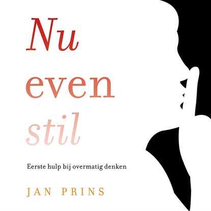 Nu even stil, Jan Prins - Luisterboek MP3 - 9789020216967