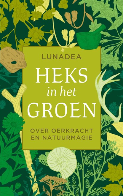 Heks in het groen, Lunadea - Ebook - 9789020217582