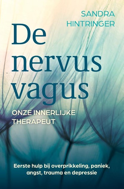 De nervus vagus, onze innerlijke therapeut, Sandra Hintringer - Paperback - 9789020220124