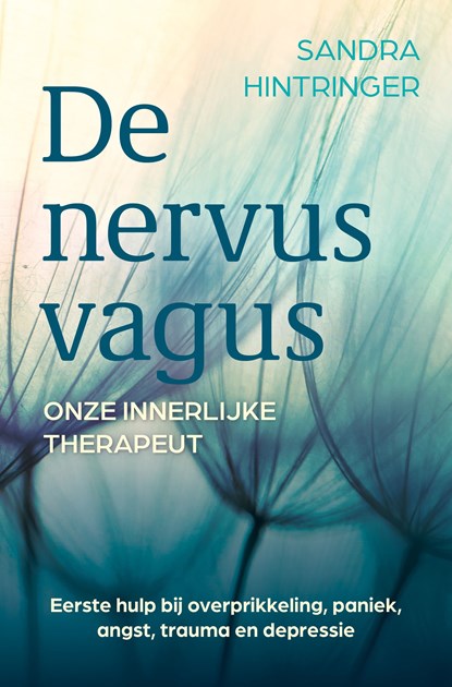 De nervus vagus, onze innerlijke therapeut, Sandra Hintringer - Ebook - 9789020220131