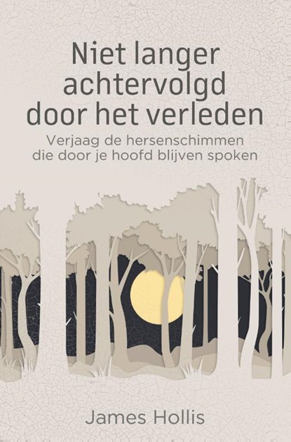 Niet langer achtervolgd door het verleden, James Hollis - Paperback - 9789020220902