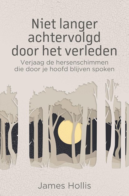 Niet langer achtervolgd door het verleden, James Hollis - Ebook - 9789020220919