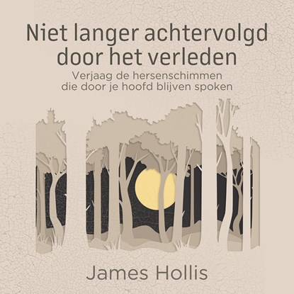 Niet langer achtervolgd door het verleden, James Hollis - Luisterboek MP3 - 9789020221046