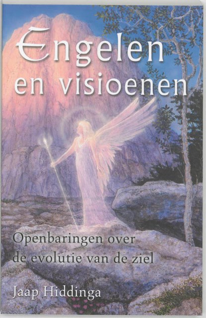 Engelen en visioenen, HIDDINGA, Jaap - Paperback - 9789020283549