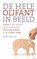 De hele olifant in beeld, Marja de Vries - Paperback - 9789020284607